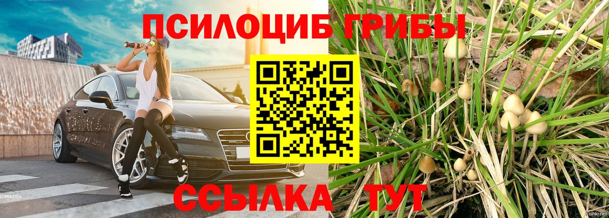 Галлюциногенные грибы прущие грибы Лангепас